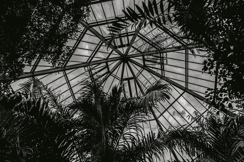 How to Choose the Right Conservatory Style for Your Home